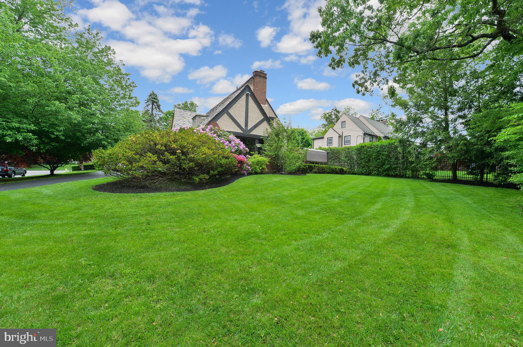 Side Lawn