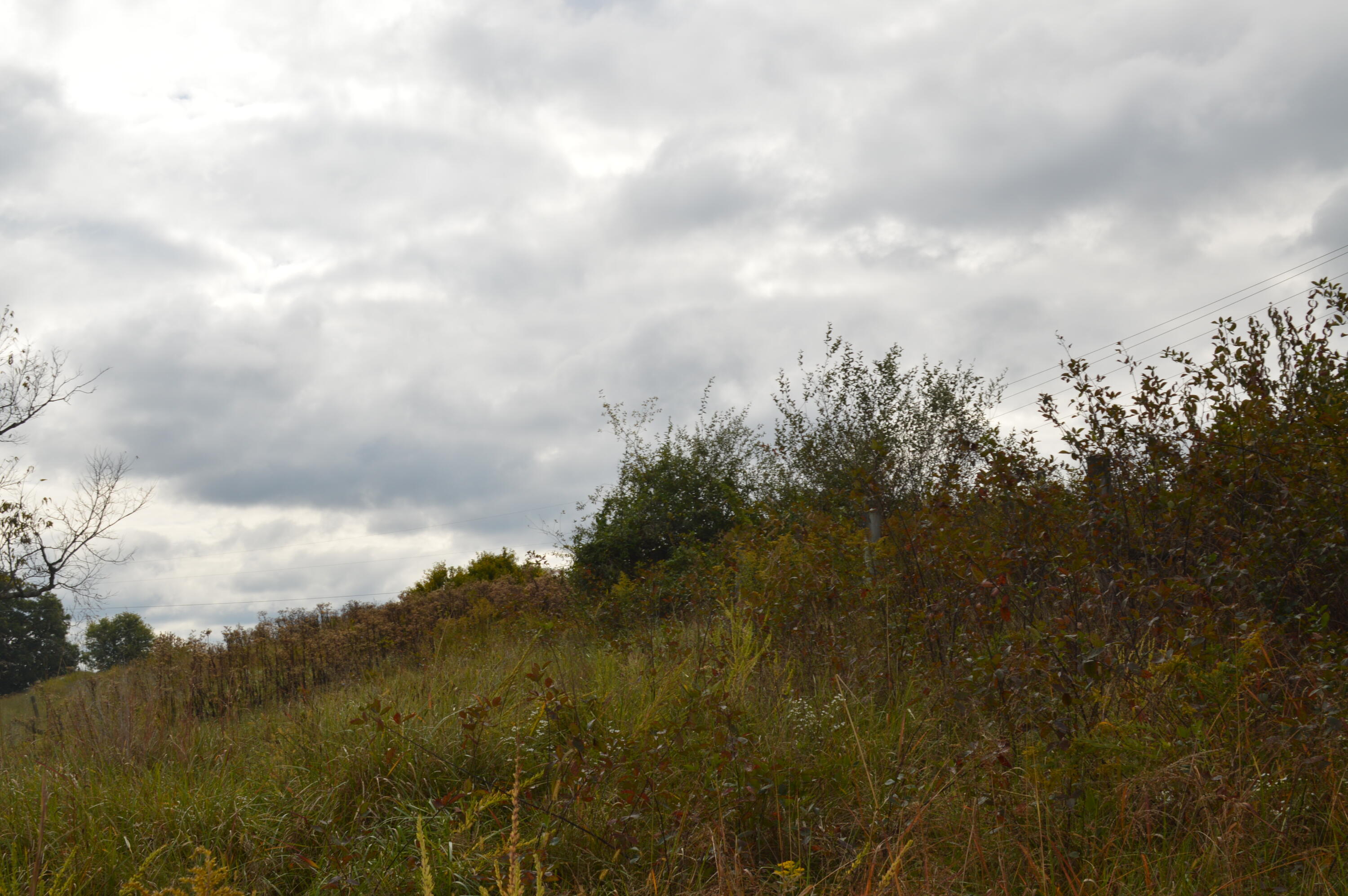 Lot # Georgetown Road Owenton, KY 40359 - Photo 8 of 13 DSC_0097