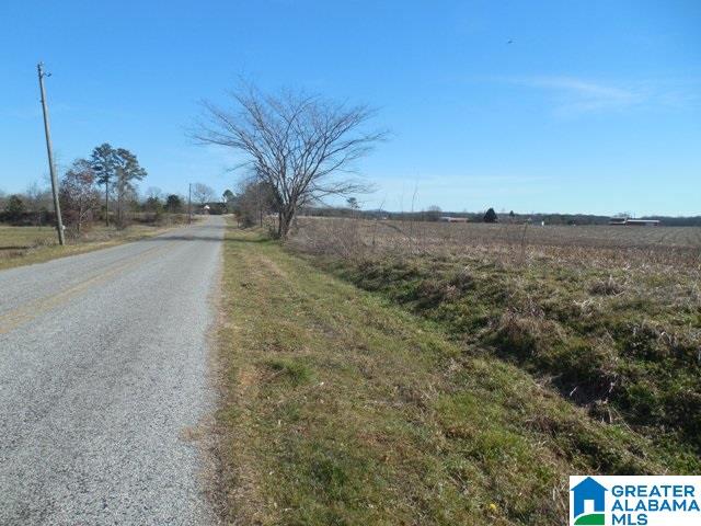 0 Curry Station Road, Unit 1 Munford, AL 36268 - Photo 2 of 14