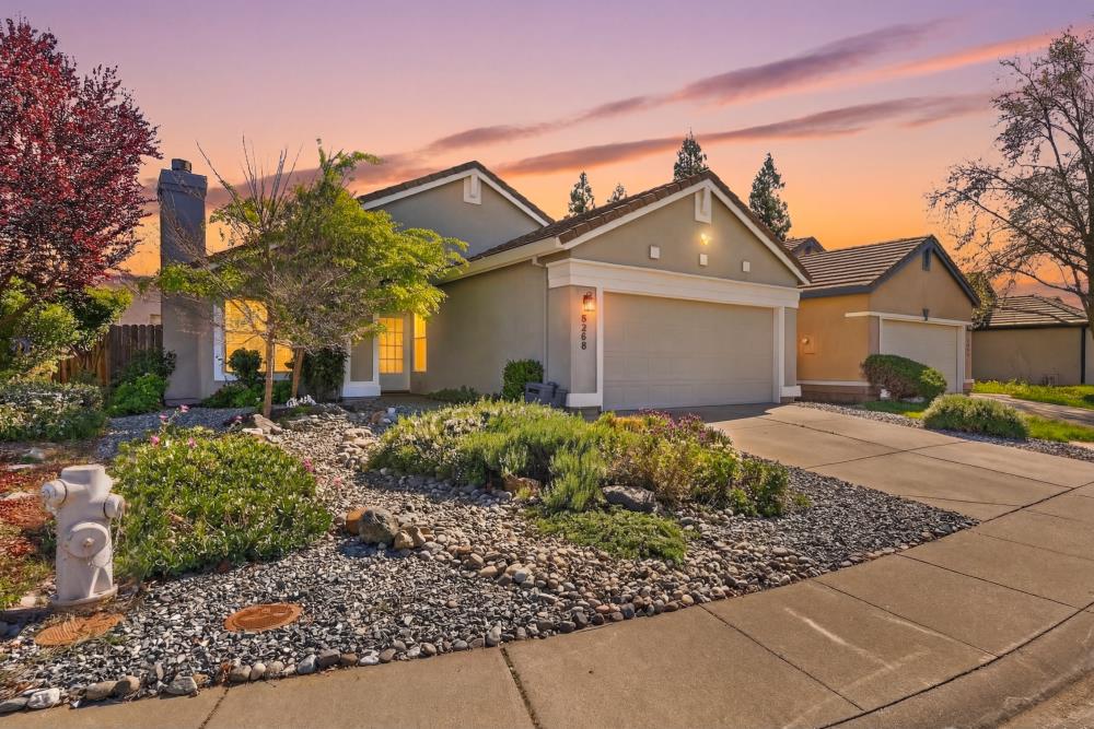 a view of a house with a small yard and large tree