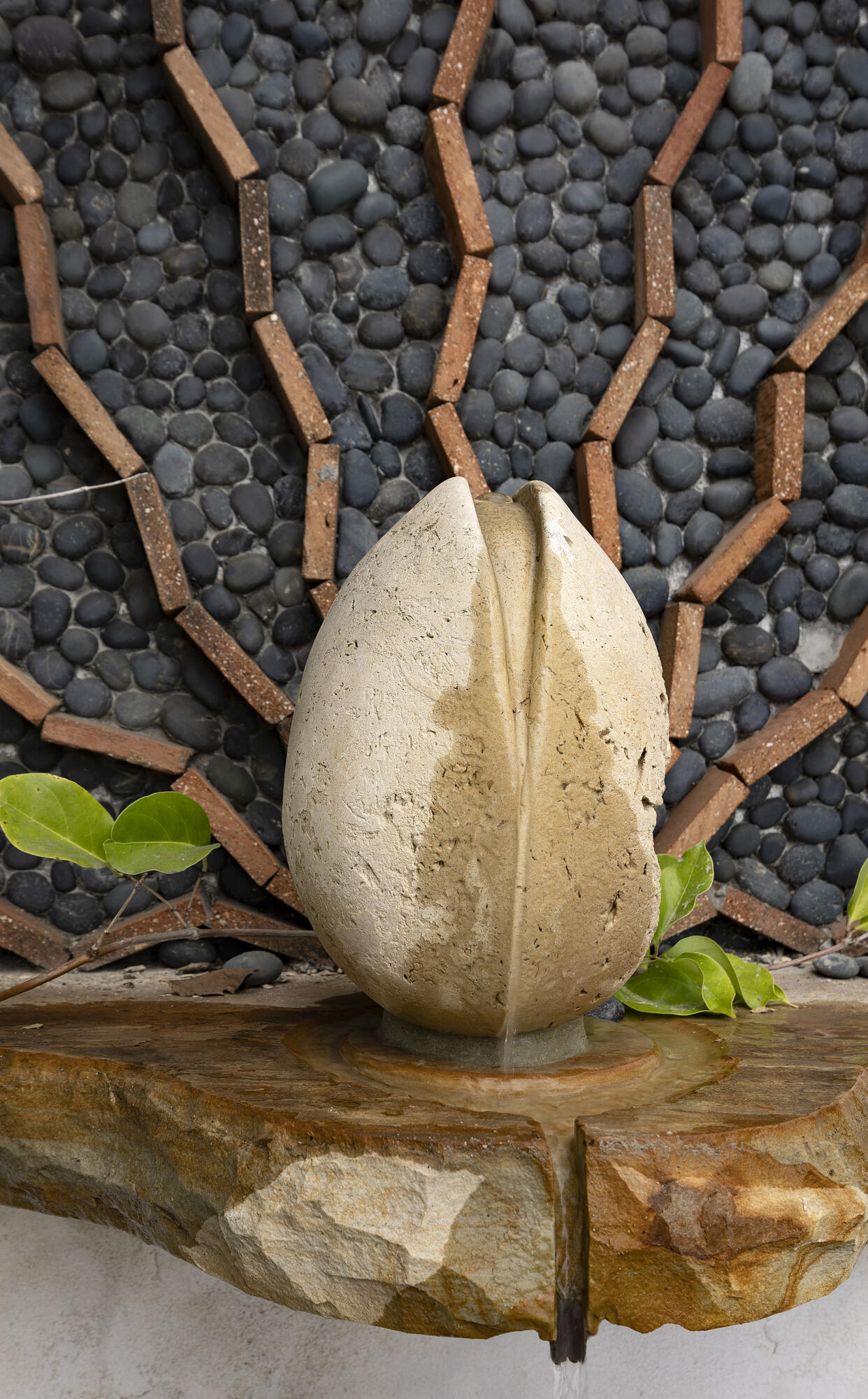 407 State Street Santa Barbara, CA 93101 - Photo 32 of 32 Pistachio art