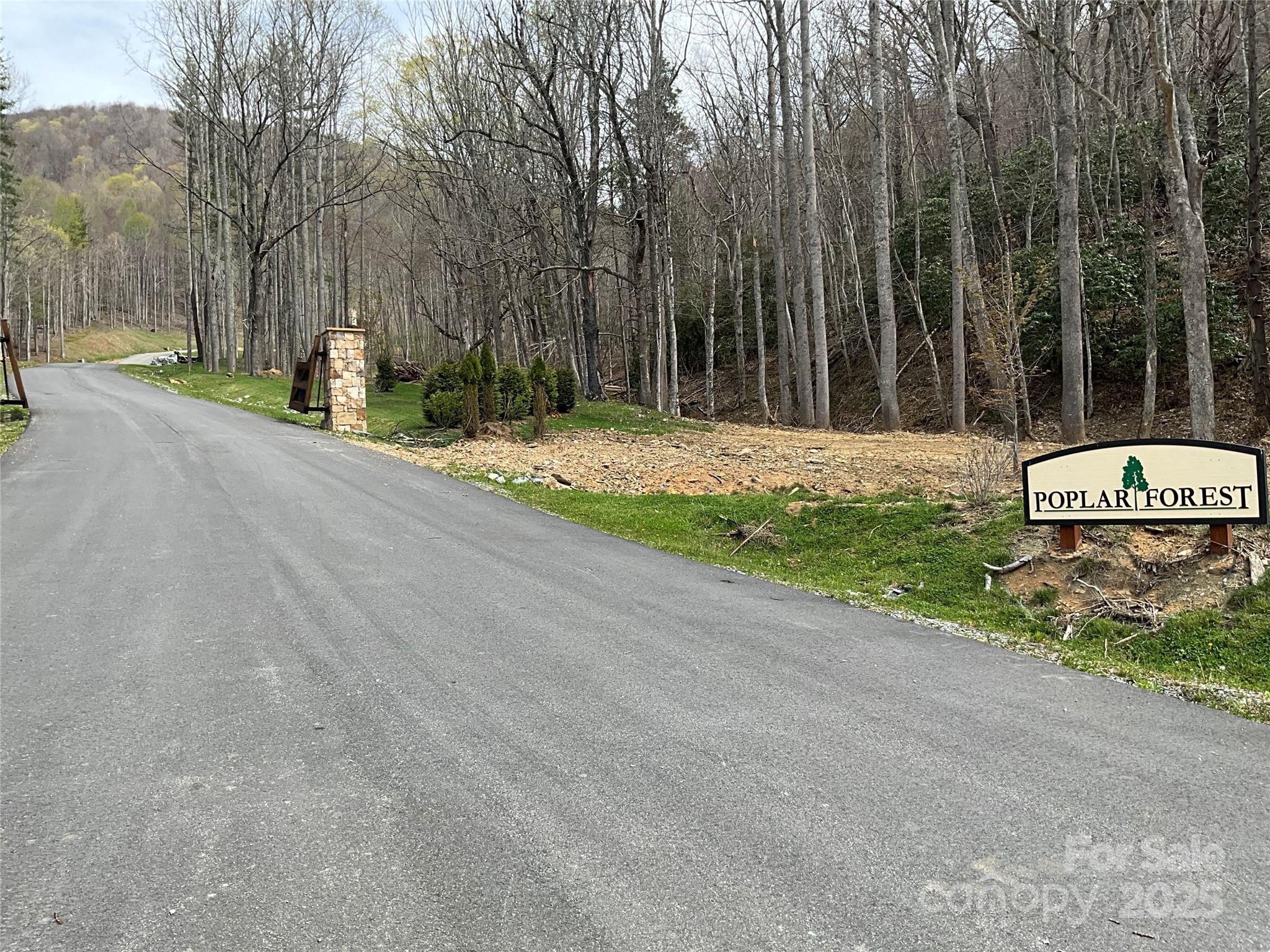 Lot 38 Poplar Forest Drive Boone, NC 28607 - Photo 11 of 11 a view of a park with large trees