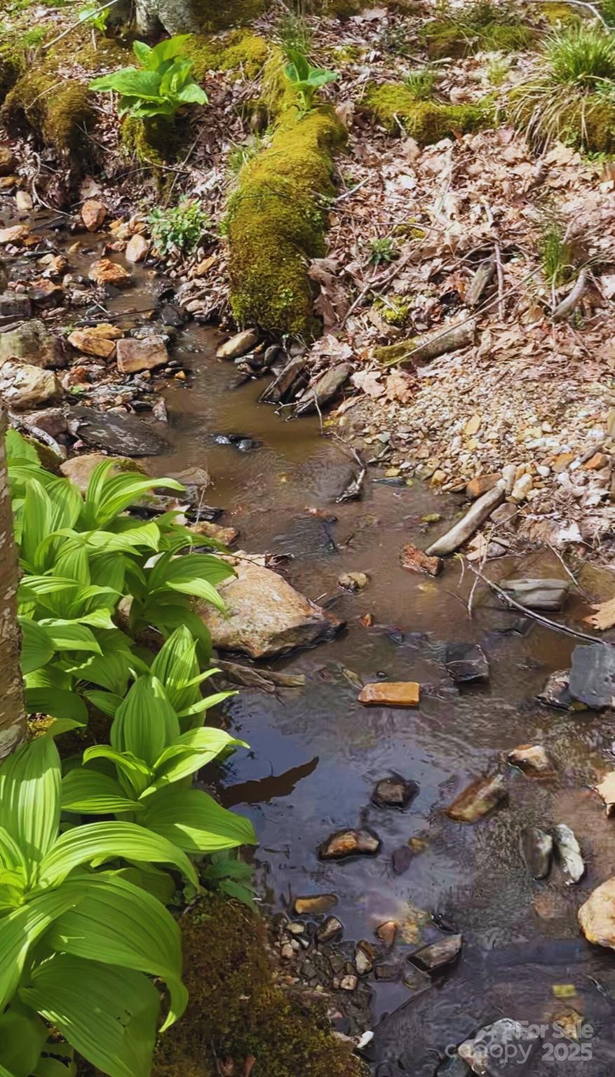 Lot 38 Poplar Forest Drive Boone, NC 28607 - Photo 6 of 11 a backyard of a house