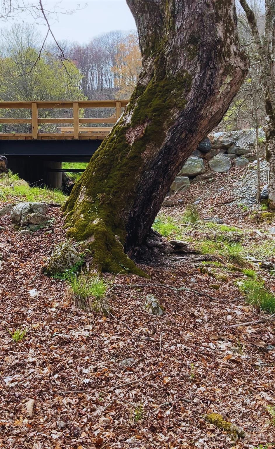 Lot 38 Poplar Forest Drive Boone, NC 28607 - Photo 7 of 11 a view of a wooden deck with a yard
