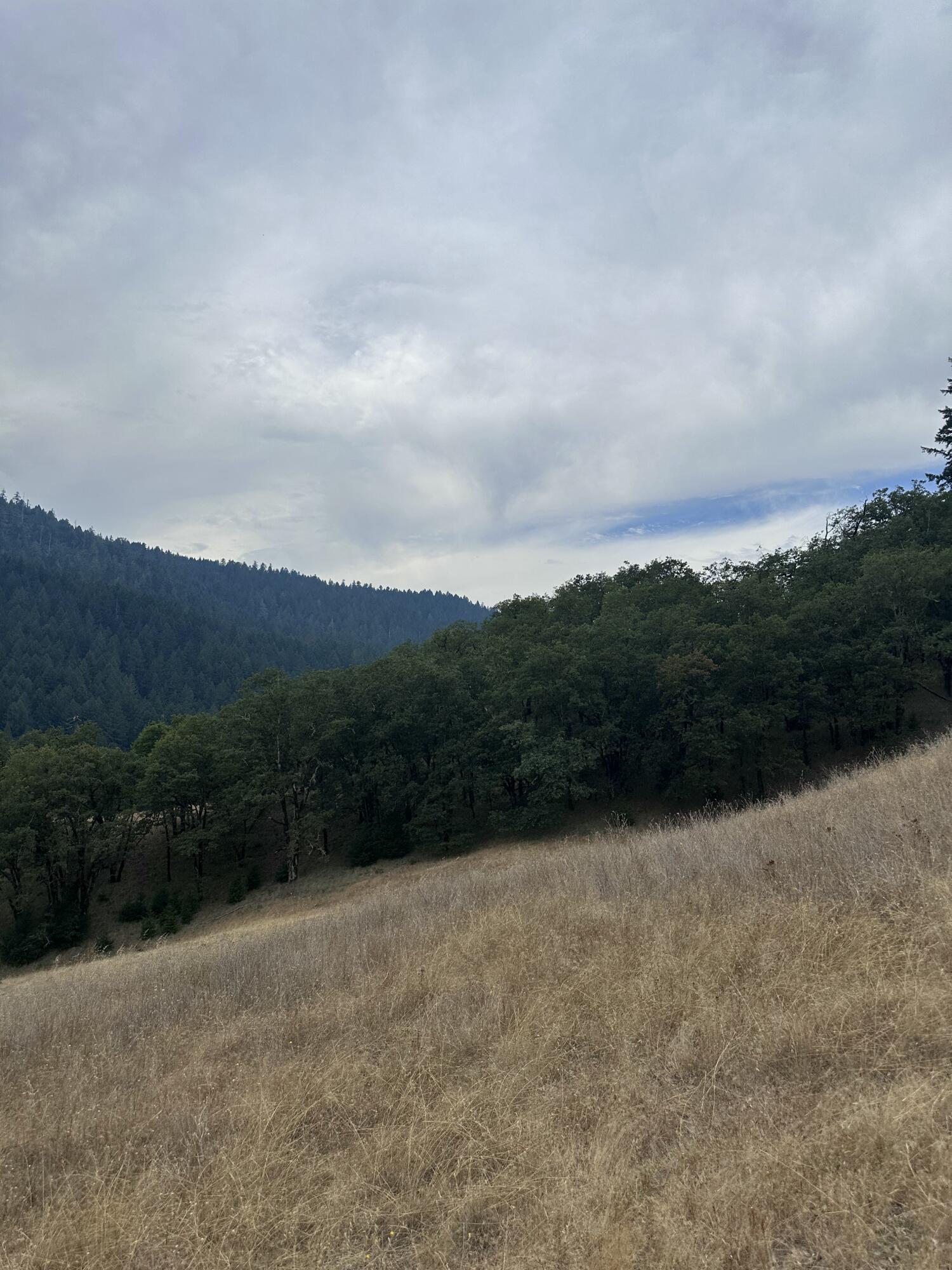 0 River Road Miranda, CA 95553 - Photo 16 of 31