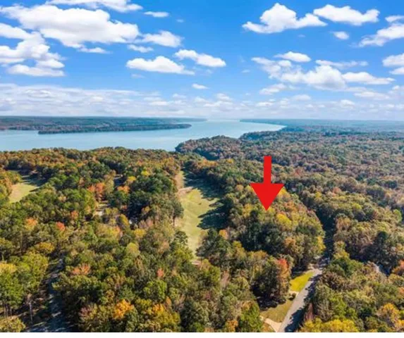a view of a forest with trees