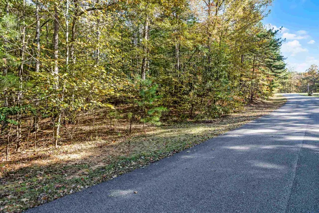 a view of a yard with an trees