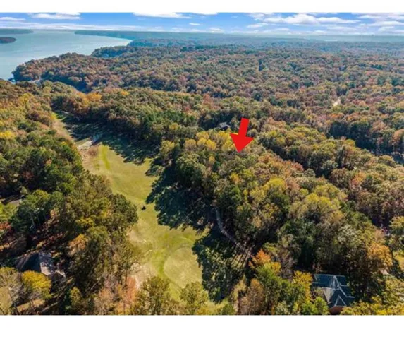 a view of a lake with a tree