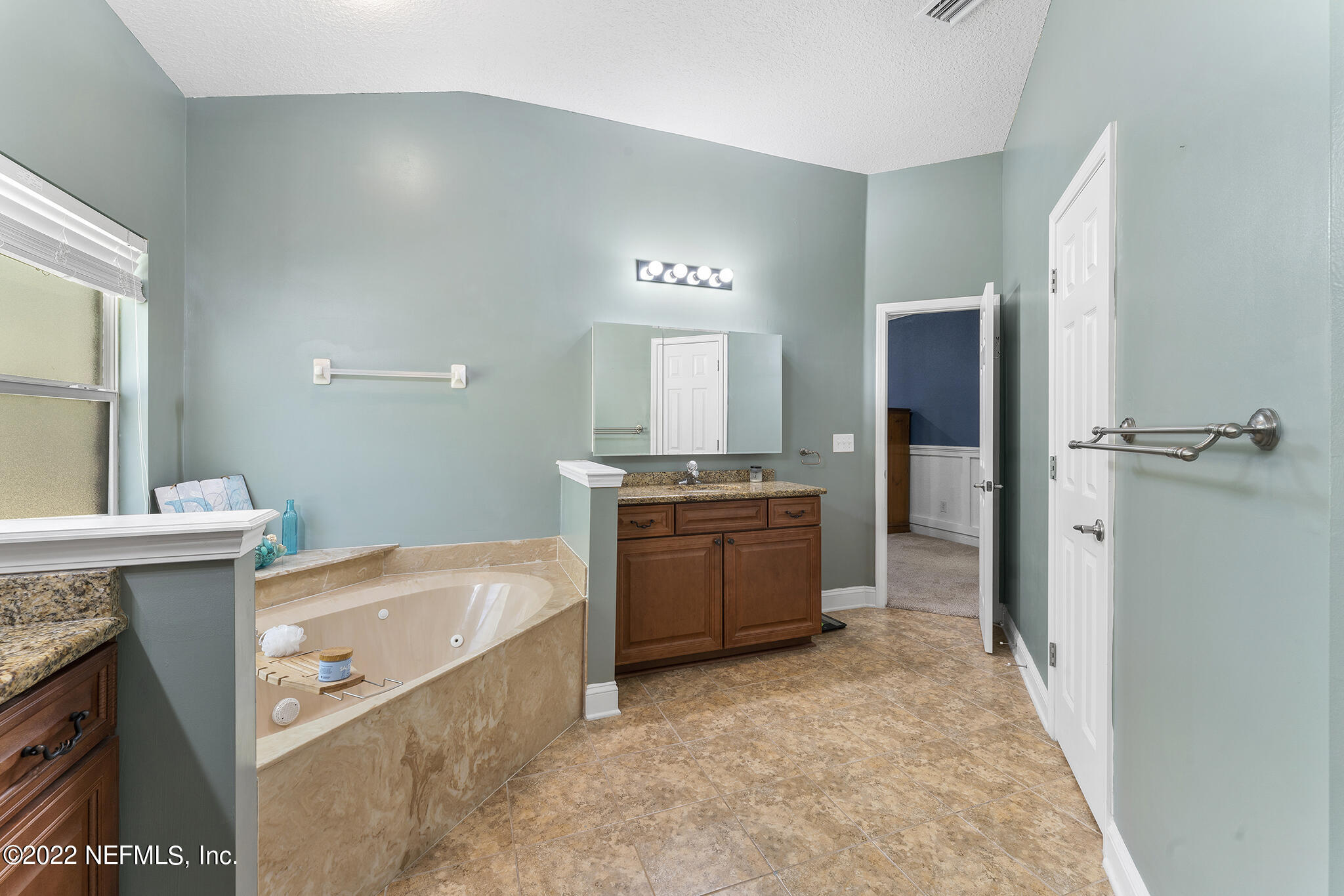 3933 Trail Ridge Road Middleburg, FL 32068 - Photo 28 of 38 Owners suite bath