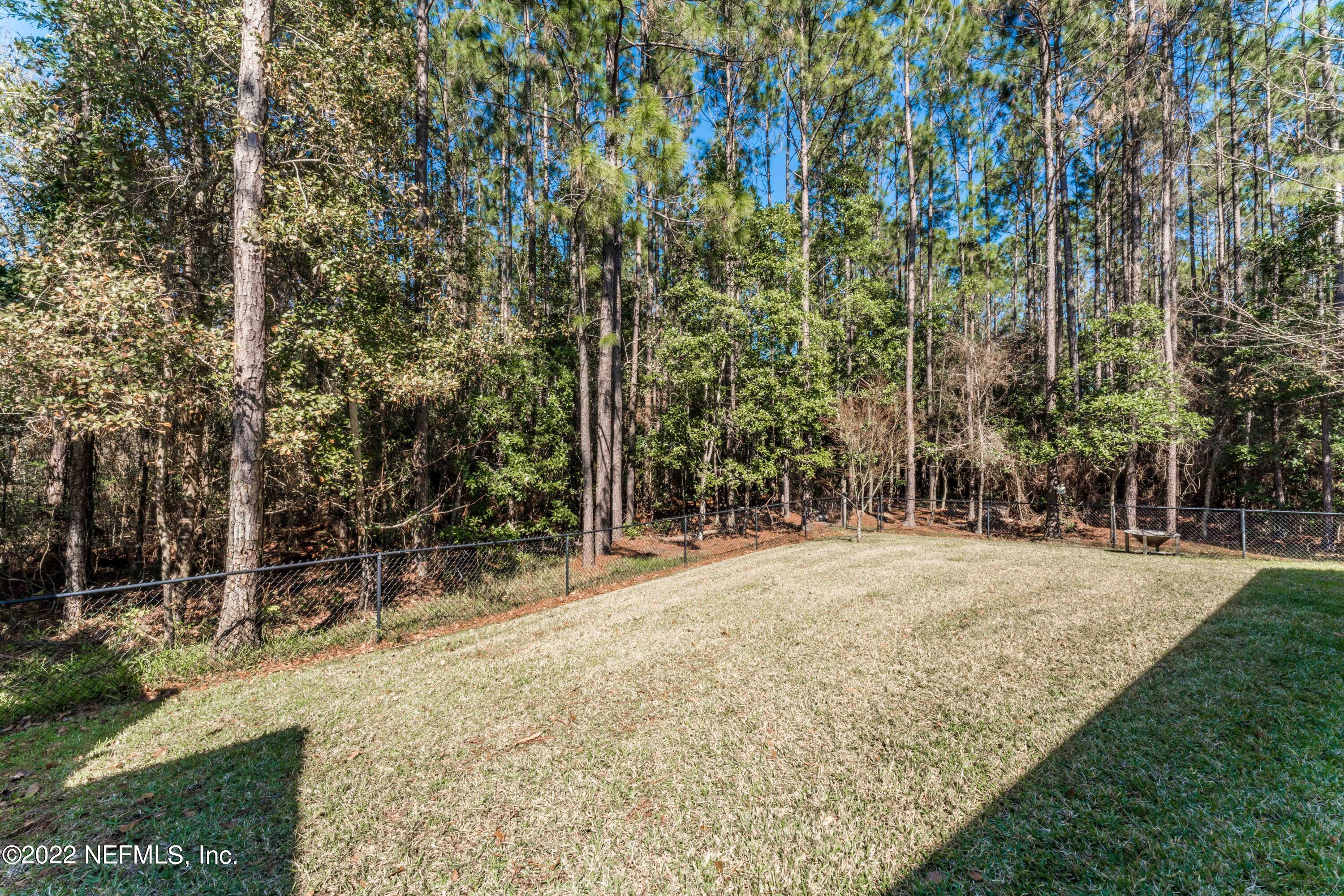 3933 Trail Ridge Road Middleburg, FL 32068 - Photo 35 of 38 Backyard