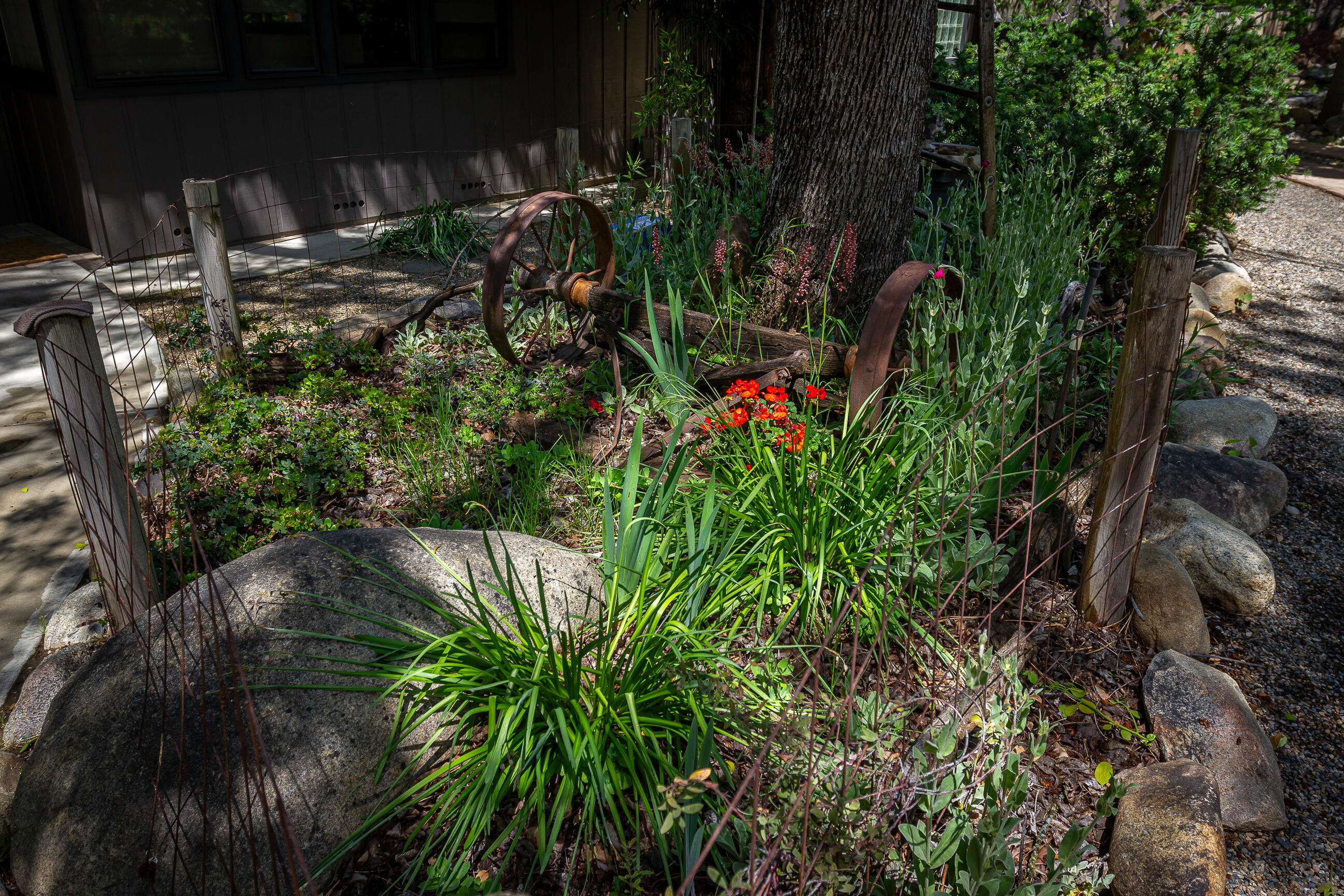 43195 South Fork Drive Three Rivers, CA 93271 - Photo 52 of 70 IMG_3326