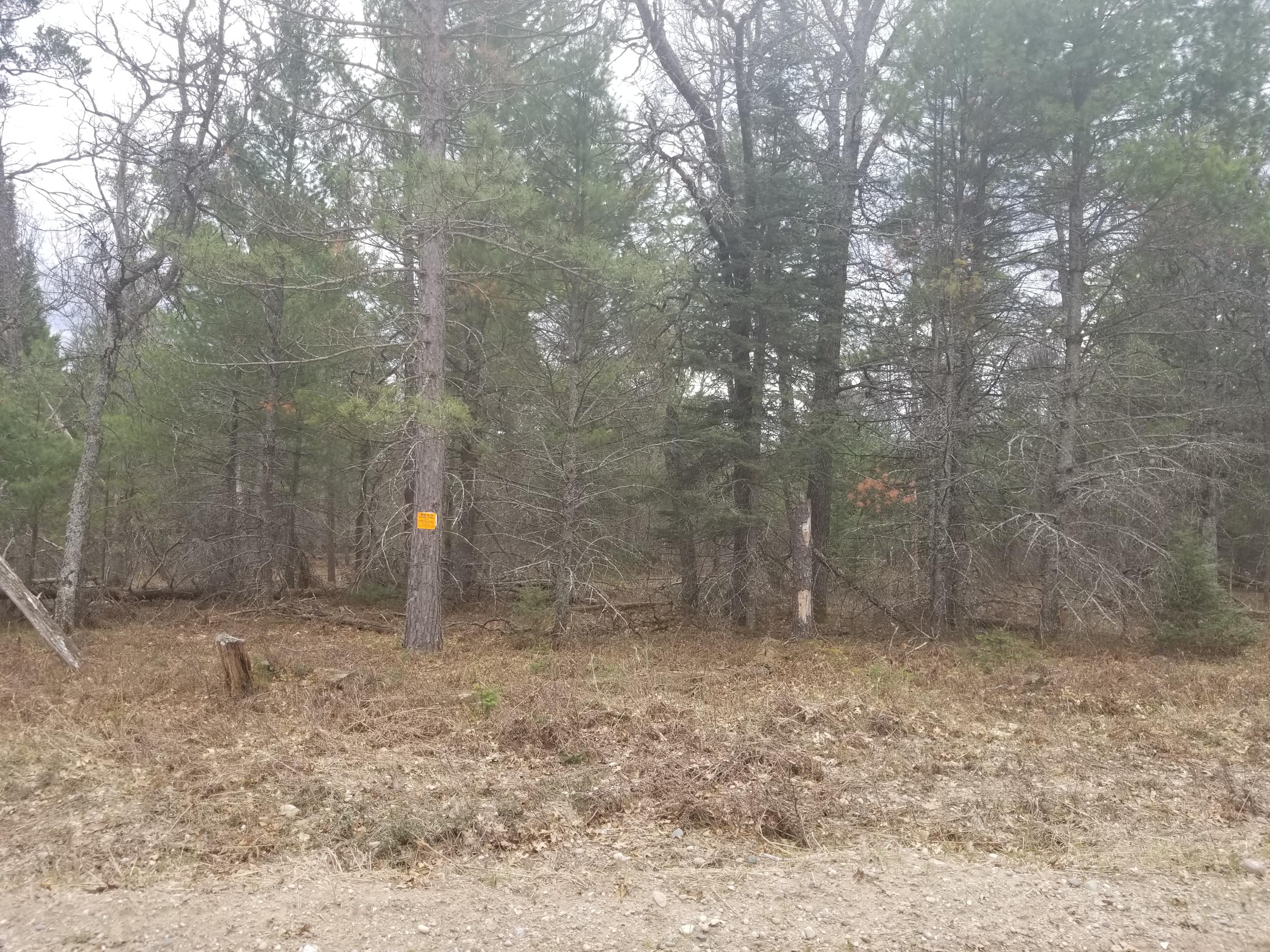 Cherry Creek Road Grayling, MI 49738 - Photo 13 of 18 Gallery Image 13