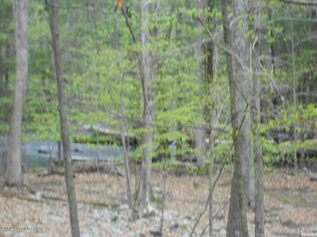 24 Decker Road Bushkill, PA 18324 - Photo 6 of 6 a view of a forest