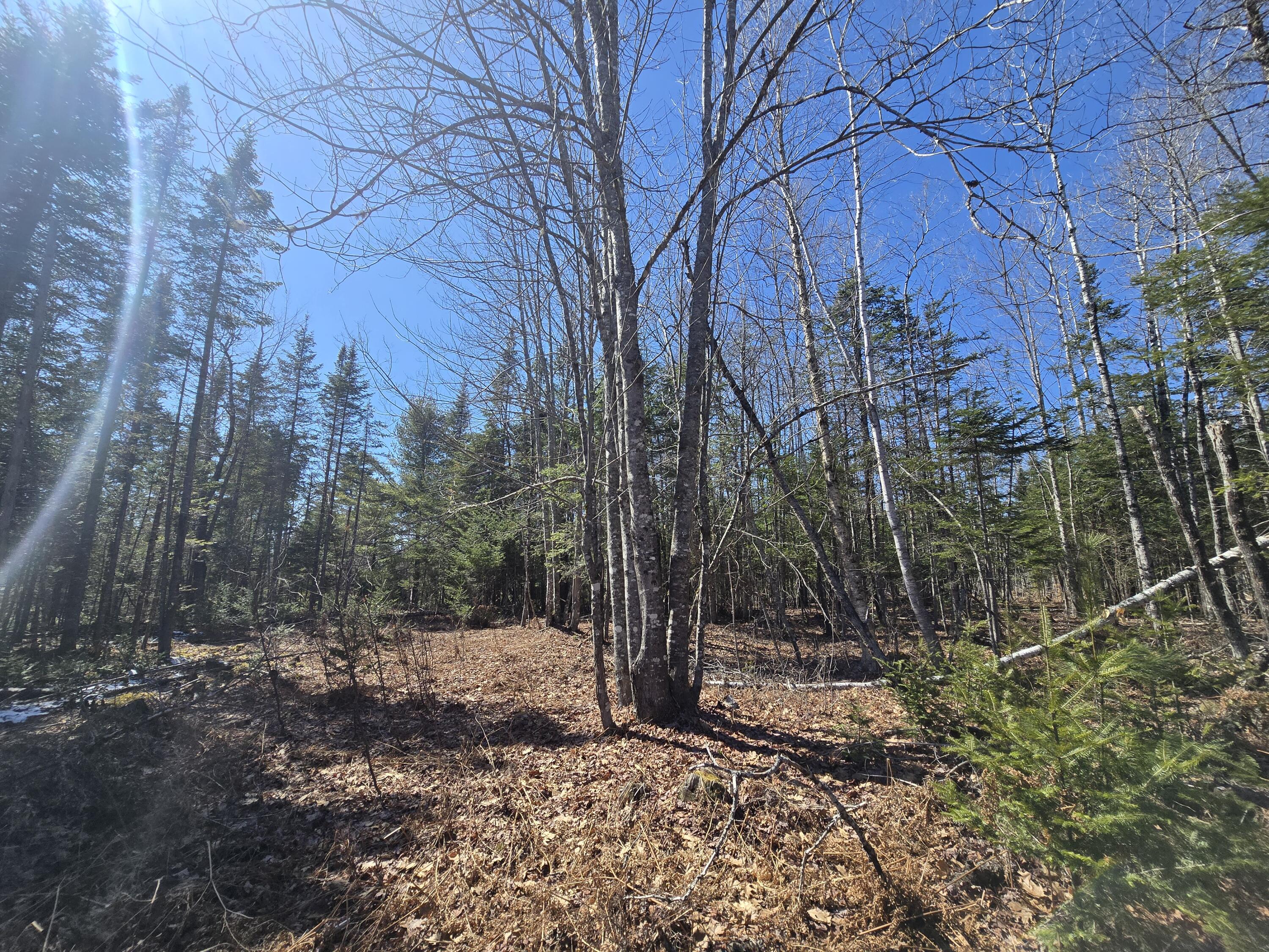0 Chadbourne Road Harmony, ME 04942 - Photo 4 of 22 20260408_140108