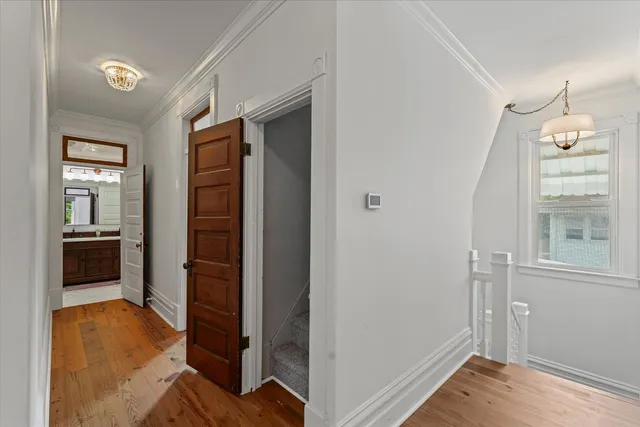 a view of a yard in front of a house with a large tree