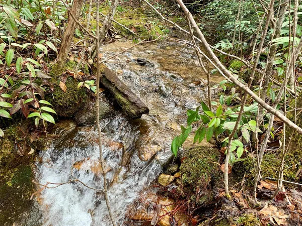 $60,000 | Lot 64 Peppervine Circle, Rosman, NC 28772