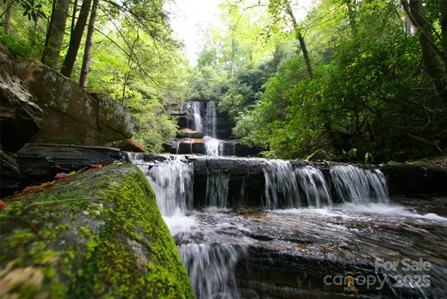 $66,000 | Lot 64 Peppervine Circle, Rosman, NC 28772