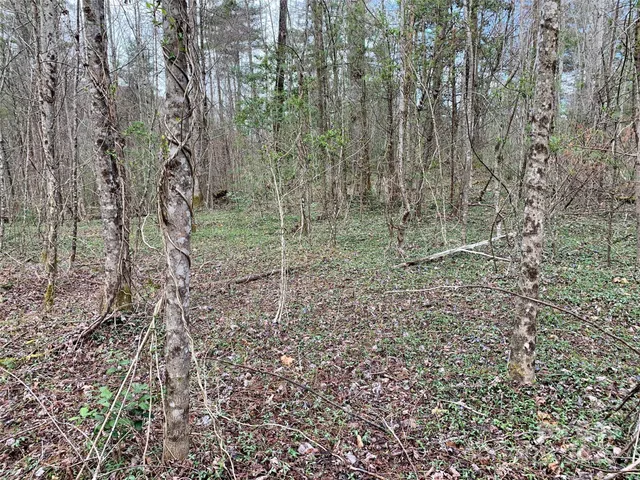 $66,000 | Lot 64 Peppervine Circle, Rosman, NC 28772