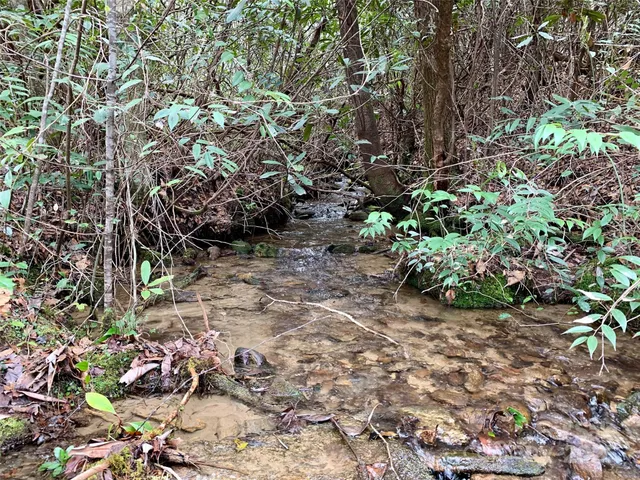 $66,000 | Lot 64 Peppervine Circle, Rosman, NC 28772