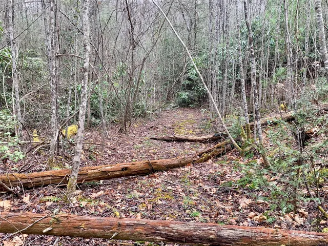 $66,000 | Lot 64 Peppervine Circle, Rosman, NC 28772