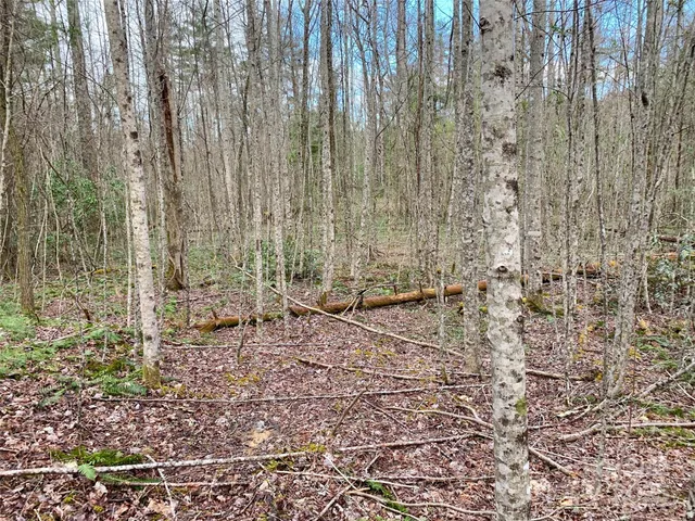 $66,000 | Lot 64 Peppervine Circle, Rosman, NC 28772