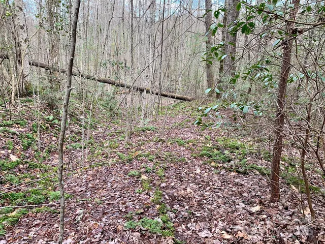 $66,000 | Lot 64 Peppervine Circle, Rosman, NC 28772