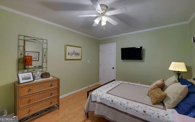 a view of a backyard with plants and garden