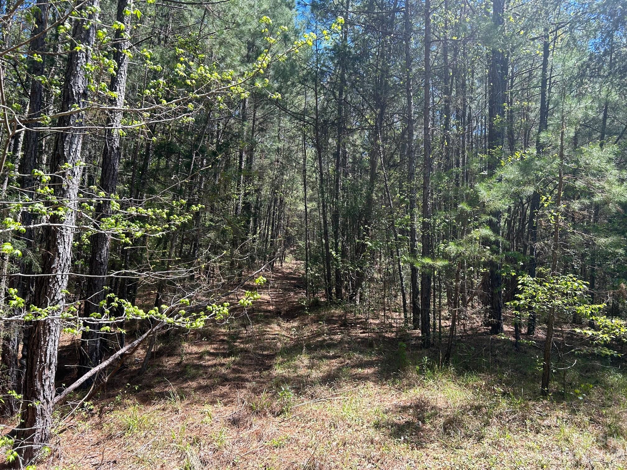 890 Pine Ridge Road Chester, SC 29706 - Photo 14 of 19