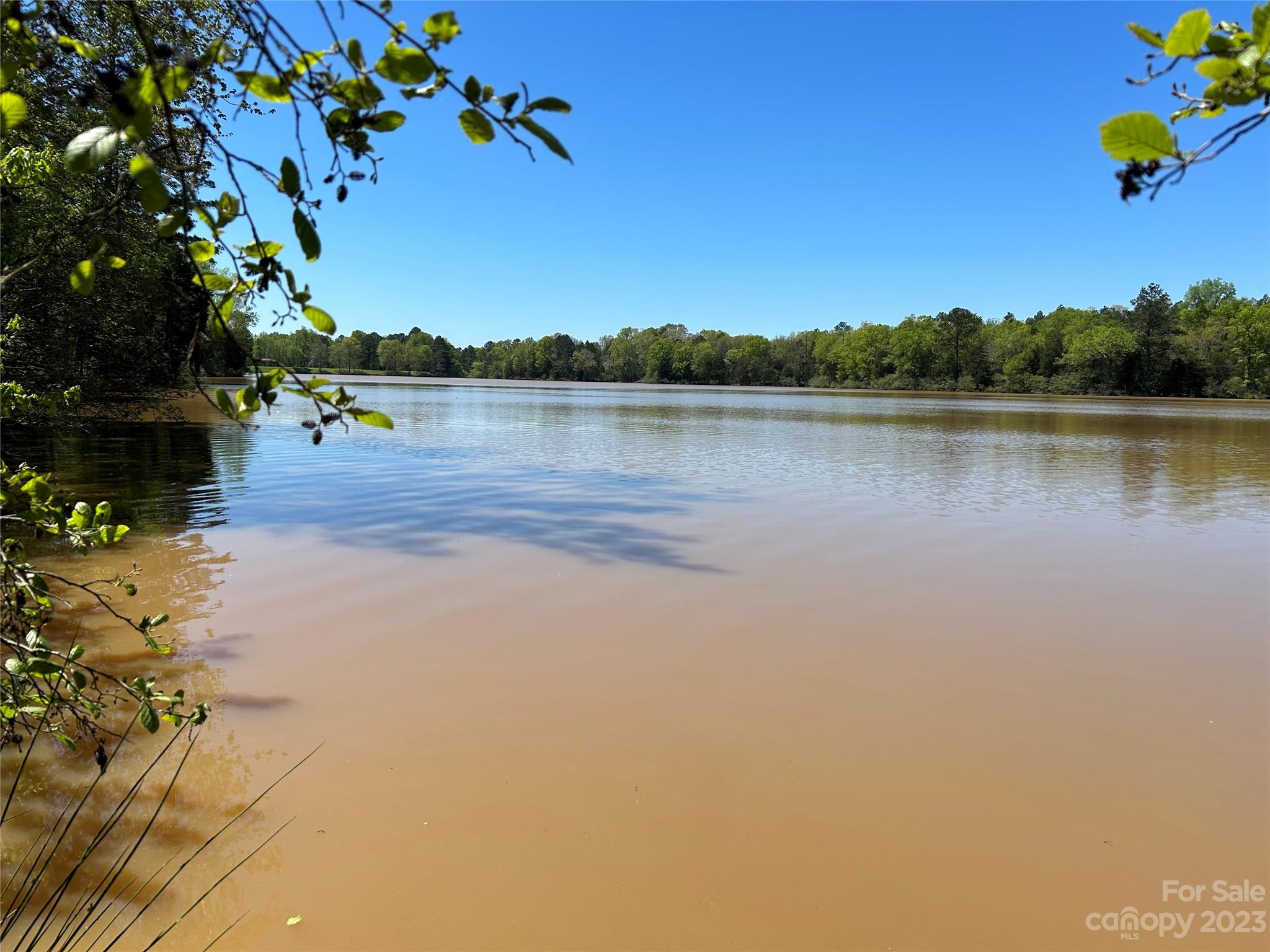 890 Pine Ridge Road Chester, SC 29706 - Photo 3 of 19 a view of a lake