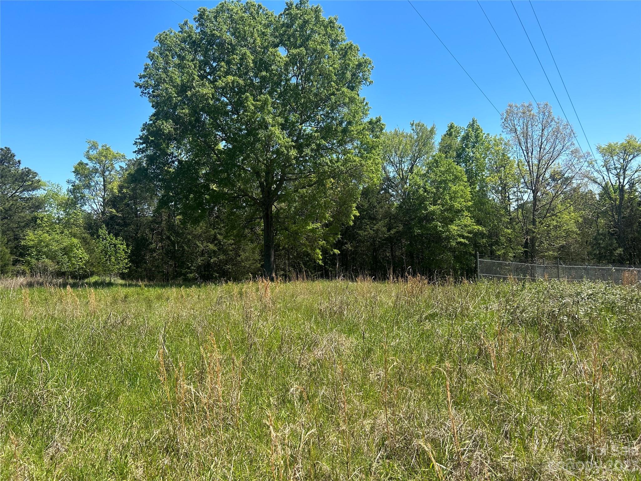 890 Pine Ridge Road Chester, SC 29706 - Photo 7 of 19 a view of a yard