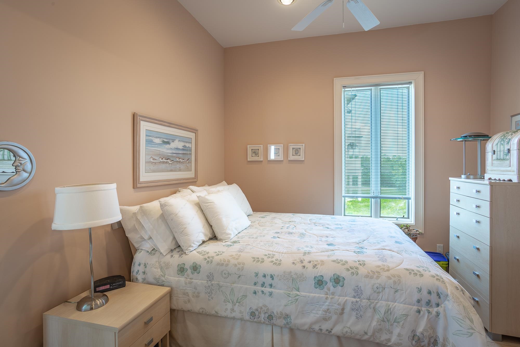 582 Bald Point Road Panacea, FL 32346 - Photo 20 of 37