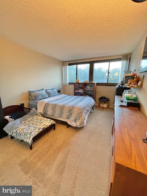 5911 Edsall Road, Unit 709 Alexandria, VA 22304 - Photo 13 of 16