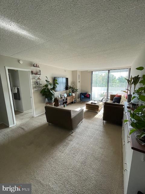 5911 Edsall Road, Unit 709 Alexandria, VA 22304 - Photo 6 of 16