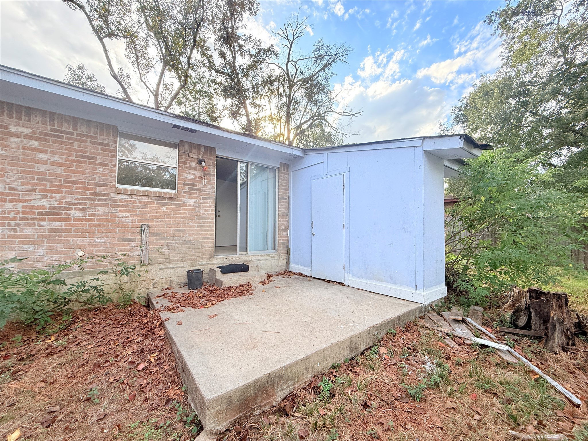 208 Laurie Lane Willis, TX 77378 - Photo 33 of 35 a view of a backyard with a large tree