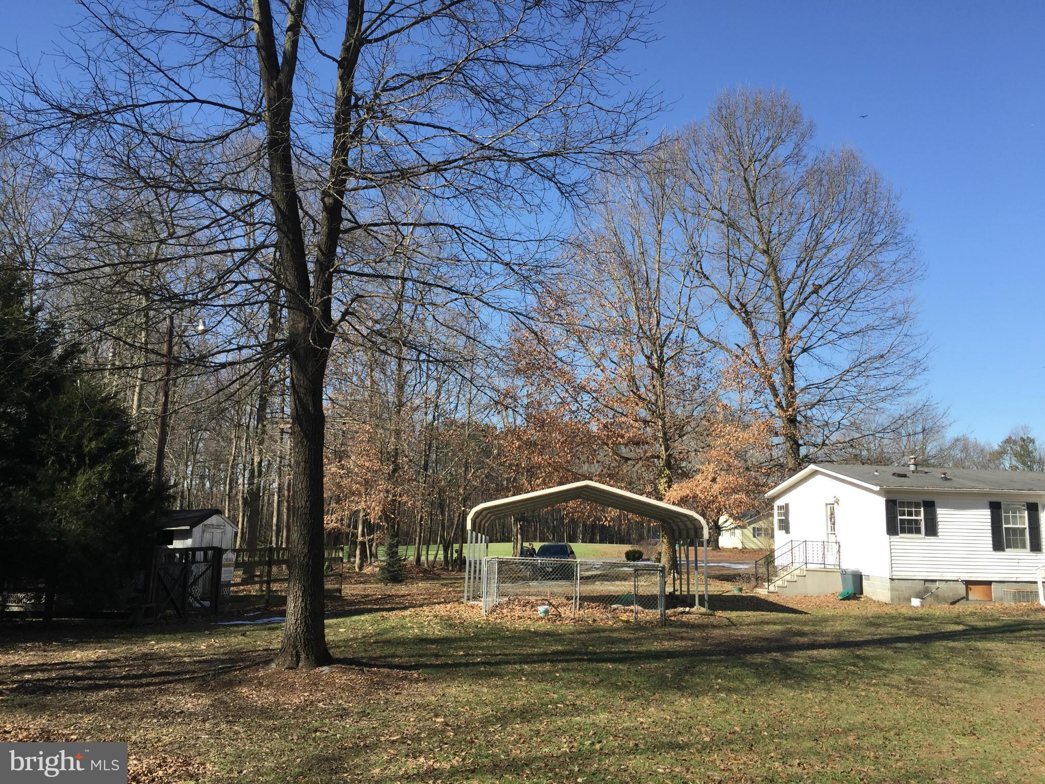 24031 Friendship Road Preston, MD 21655 - Photo 11 of 24 Exterior (Rear)