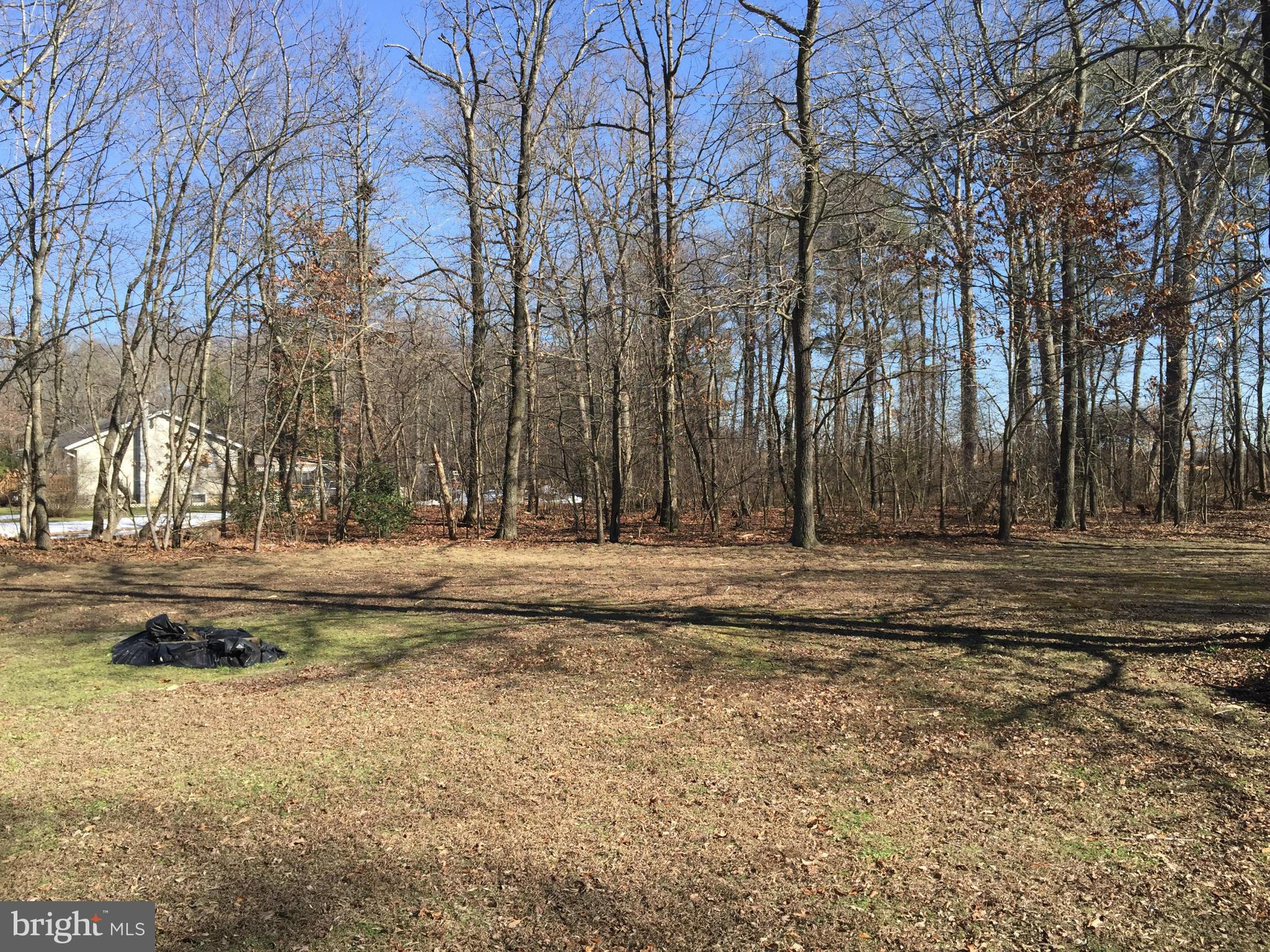 24031 Friendship Road Preston, MD 21655 - Photo 5 of 24 Exterior (Rear)