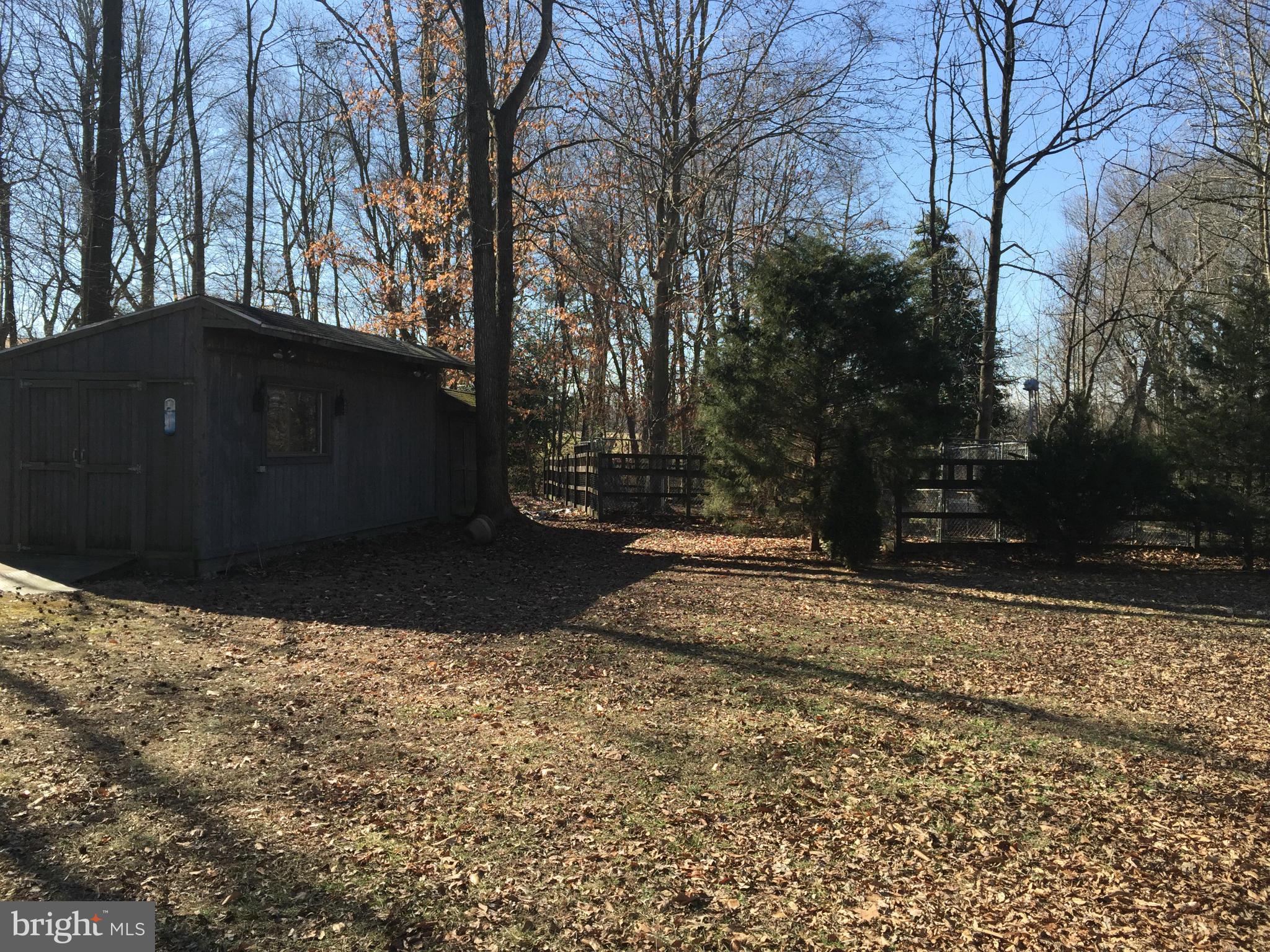 24031 Friendship Road Preston, MD 21655 - Photo 9 of 24 Exterior (Rear)
