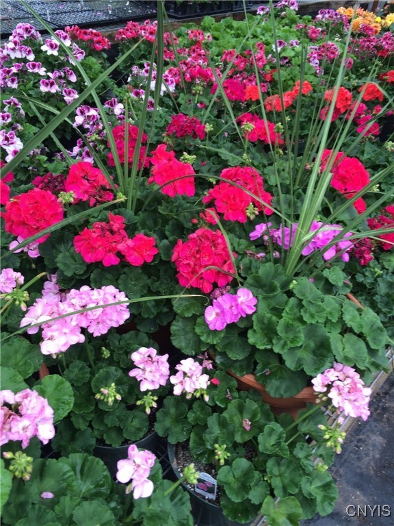 2774 Oneida Street Paris, NY 13456 - Photo 20 of 43