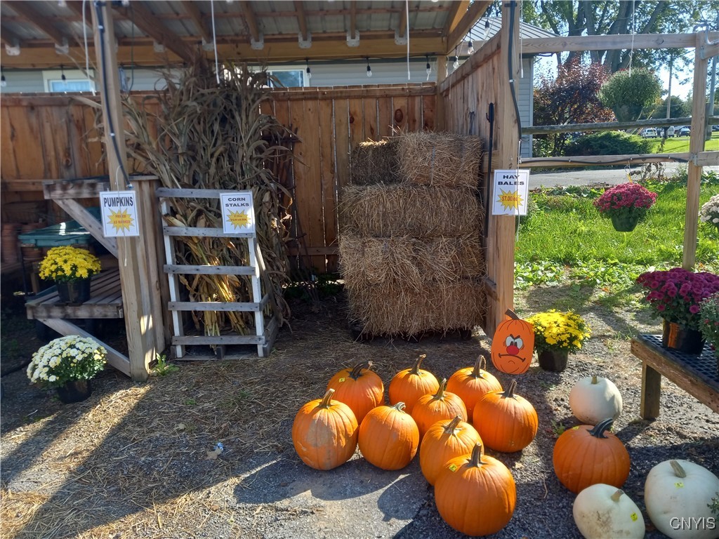 2774 Oneida Street Paris, NY 13456 - Photo 22 of 43