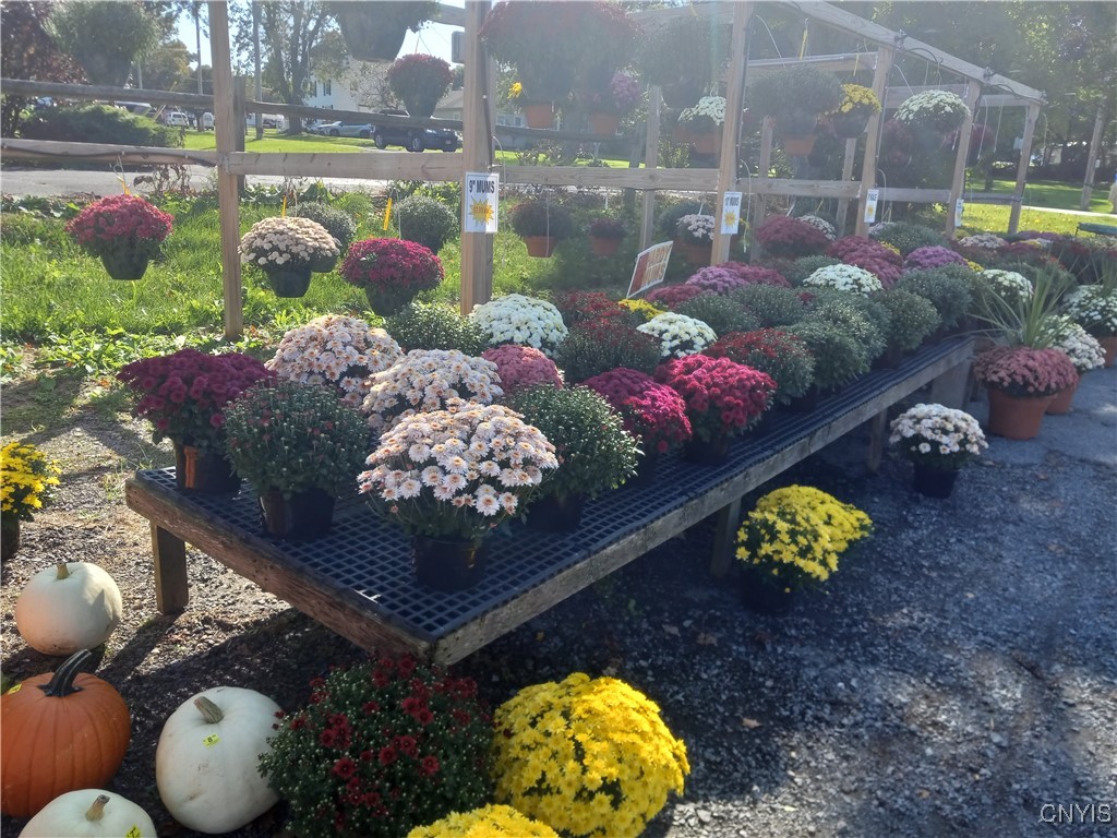 2774 Oneida Street Paris, NY 13456 - Photo 23 of 43