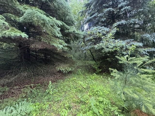 Elmwood Rd Green Green Bay, WI 54313 - Photo 2 of 16