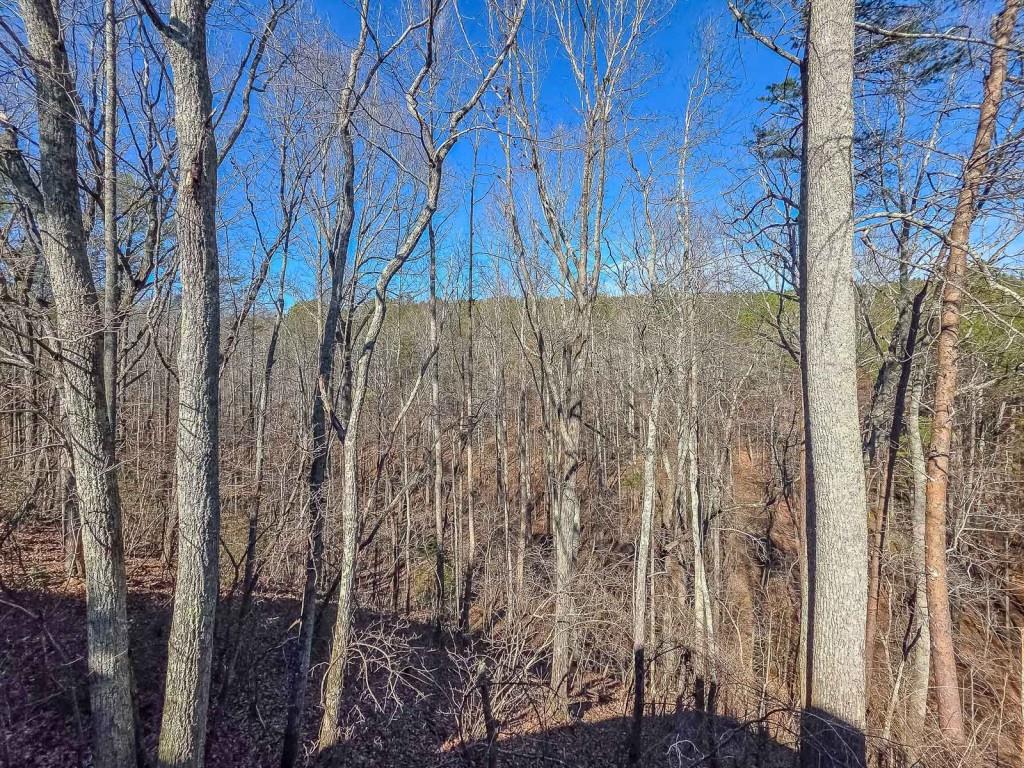 165 Horseshoe Bend Jasper, GA 30143 - Photo 35 of 44 a view of a backyard of a house