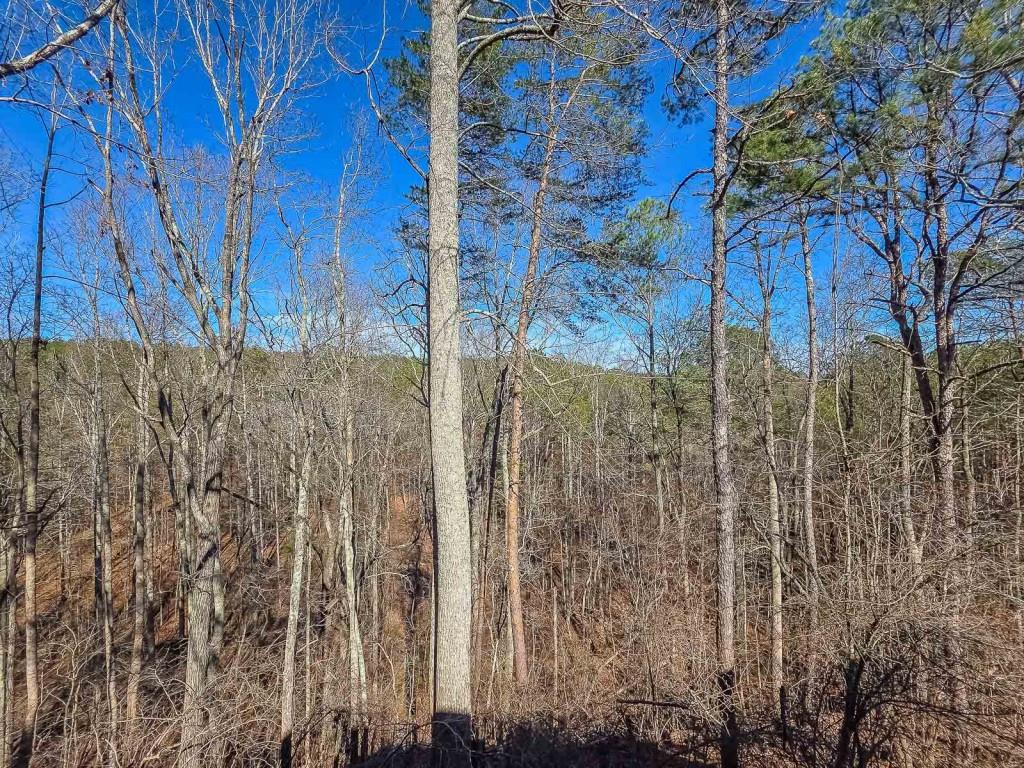 165 Horseshoe Bend Jasper, GA 30143 - Photo 36 of 44 a view of a pathway of a building