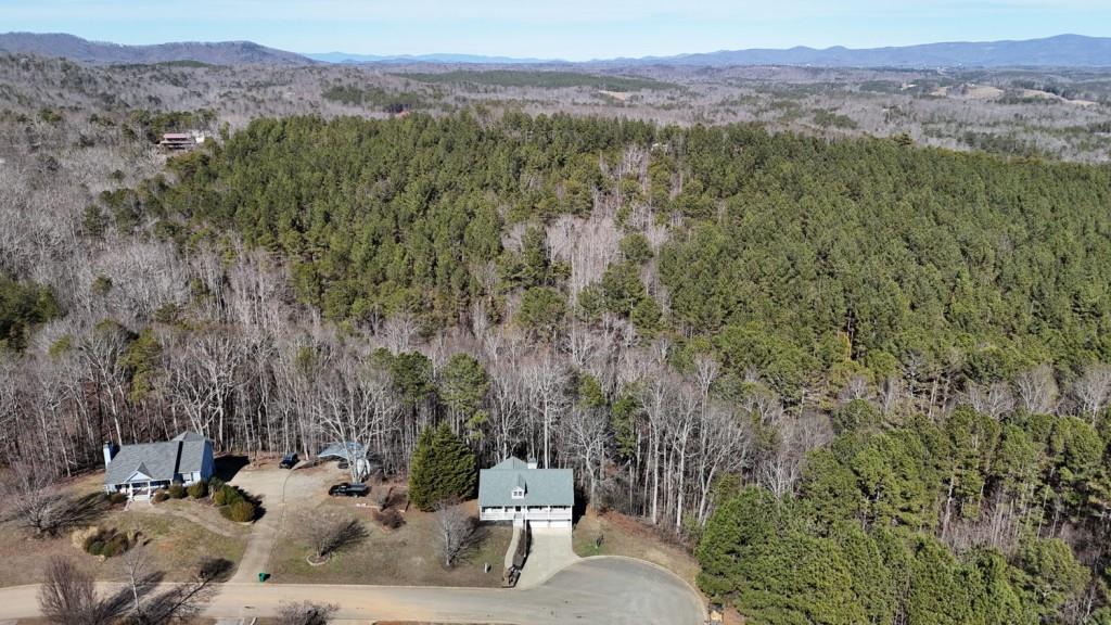 165 Horseshoe Bend Jasper, GA 30143 - Photo 41 of 44 a view of a mountain from a yard