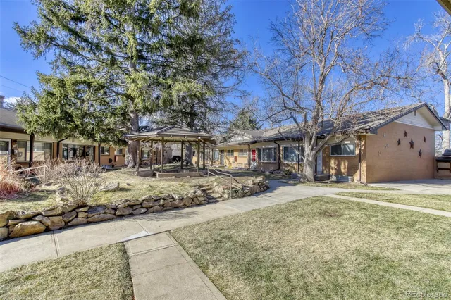 a view of a large trees with a big yard and large tree
