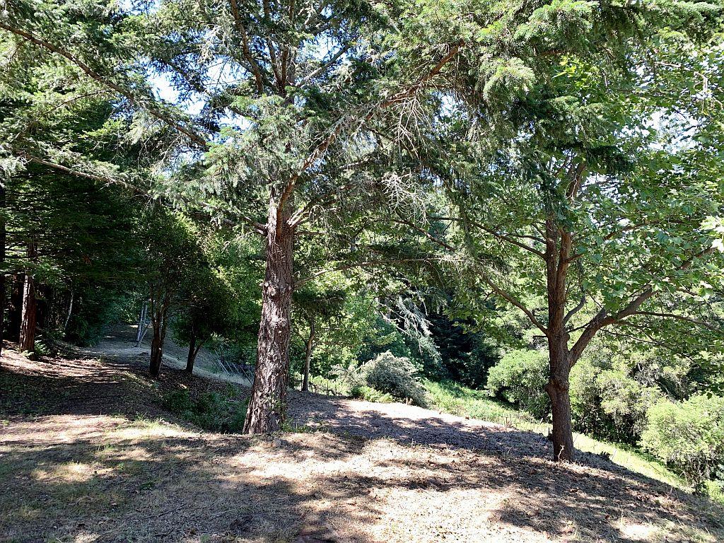 0 Highgate Road Scotts Valley, CA 95066 - Photo 33 of 53 Gallery Image 33