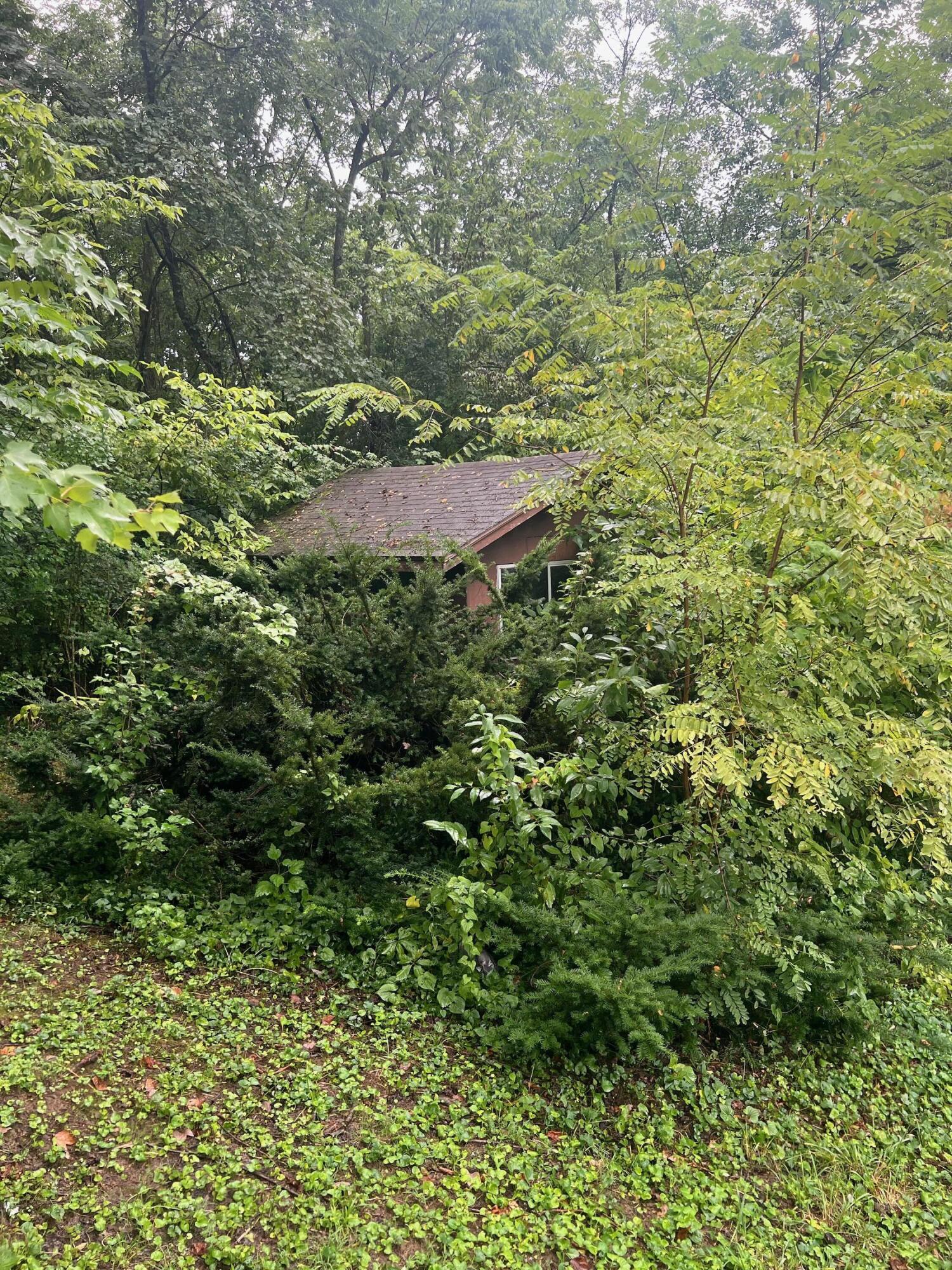 1333 Jackson Ferry Road Winchester, KY 40391 - Photo 57 of 60 IMG_2273