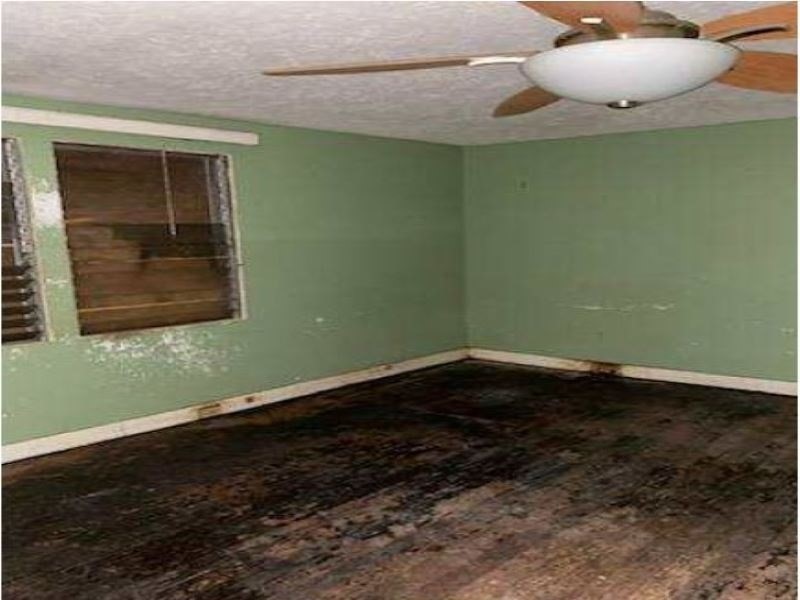 18-1236 Volcano Road Mountain View, HI 96771 - Photo 8 of 9 Gallery Image 8