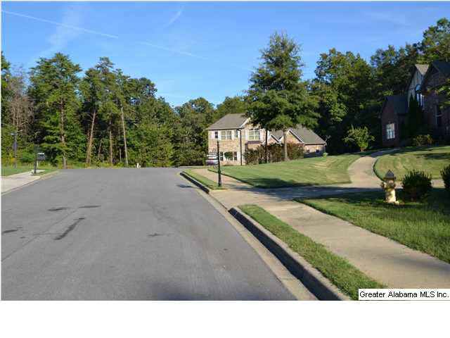 141 Widgeon Drive Alabaster, AL 35007 - Photo 28 of 29