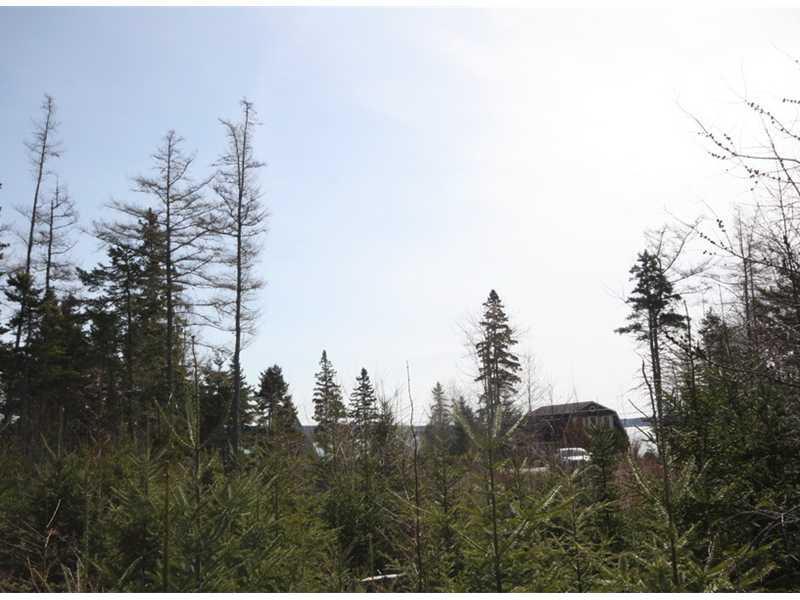 0 Jellison Cove Road Hancock, ME 04640 - Photo 2 of 7 Land/Lot. Lot view